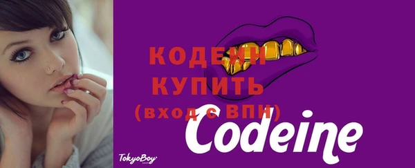 бошки Иннополис