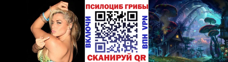Псилоцибиновые грибы Magic Shrooms  Купить закладки  Бородино 